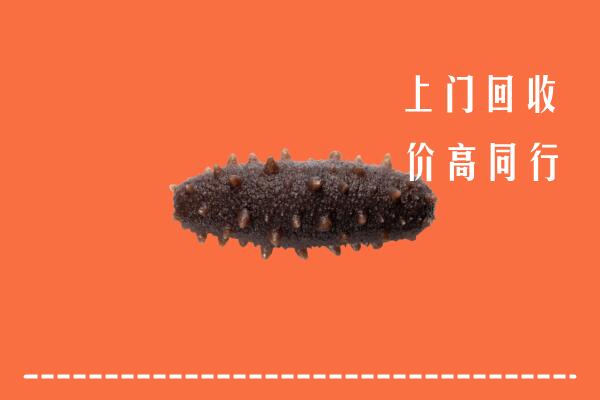 高价求购：睢宁县回收海参